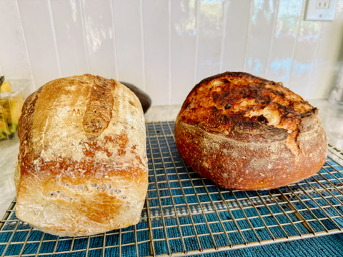 Two homemade sourdough loaves cooling side by side
